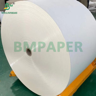 240 gm + 18 g PE-gecoat Cupstock papier voor tray matten waterdicht 650 mm