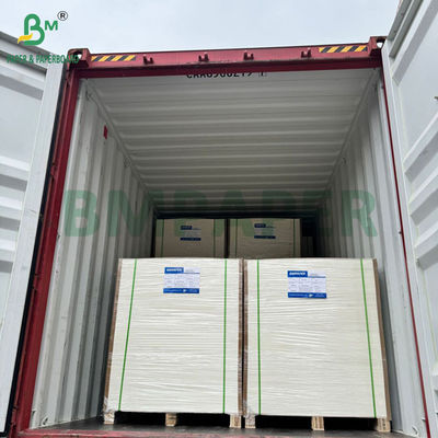 240g +15PE Gecoat 1 zijde Cupstock Papier Voor Drinkbekers 31 x 43 inch Waterdicht 100%