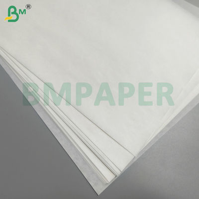 Fruit and Vegetable Protective Bag Paper Waterdicht Ver weg van plagen en vogels