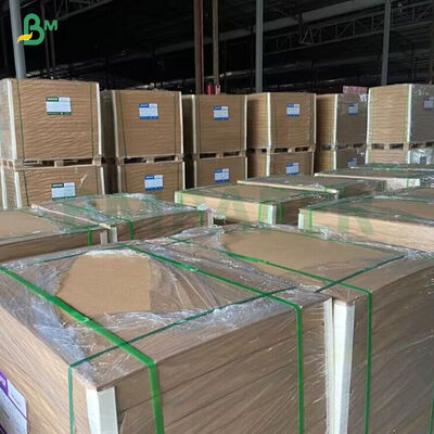 260GSM+ 18GSM FDA Afbreekbaar bamboe kraftpapier met PE / PLA bedekt koppenpapier