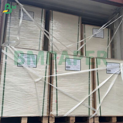 300 gm Ongebleekt Suikerriet Bagasse Pulppapierplaat Biologisch afbreekbaar Gecertificeerd 787 mm X 1092 mm