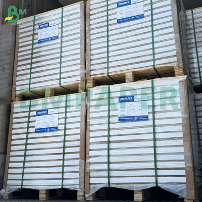 170gsm Two Side Coated Glossy Art Paper Jumbo Rolls 38" Width