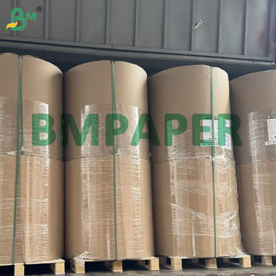 50gsm 54gsm White Coffee Filter Paper Roll Commercial Basket Brewers