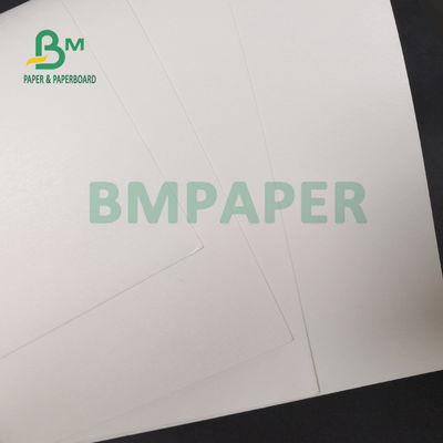 100% houtpulp PE van 210g + 15g-Met een laag bedekt Document Blad voor het Drinken van Koppen 720mm 880mm
