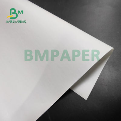 55gsm jumbobroodjes Thermisch Document voor POS Printers 565mm X 6000m