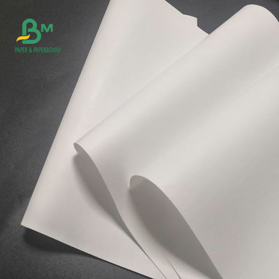 Vrij Thermisch het Document van 65gsm BPA Broodje voor Kassa Duidelijk Beeld 600mm X 9000m