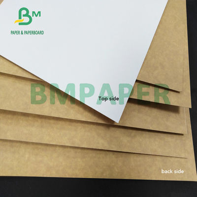 de Vochtigheid van 325gsm CCK Clay Coated Kraft Back Paper Bestand voor het Vouwen van Kartondozen