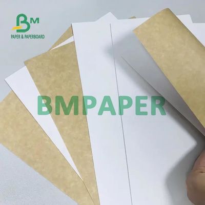 Hoog Omvangrijk CCKB-Karton met Wit Hoogste Kraftpapier Achter250g 270G 300G