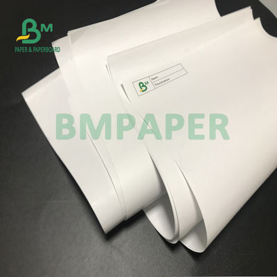 Hoog Bleekheids Thermisch Document Broodje 55gsm 58gsm voor ATM-Druk