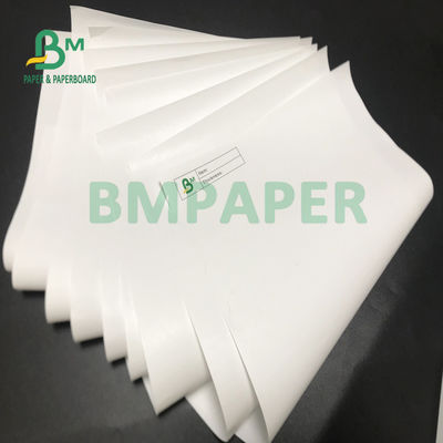 Hoog Bleekheids Thermisch Document Broodje 55gsm 58gsm voor ATM-Druk