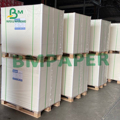 het Blad van 300gsm 450µM Blister Board Paper voor Hardwareblaar Verpakking