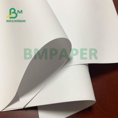 Niet bekleed Woodfree-Document 50gsm 53gsm 55gsm voor Blocnotepagina's in Broodje