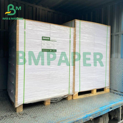 215gsm wit Met een laag bedekt Diepvriezerdocument Broodje voor Voedselcontainer Verpakking