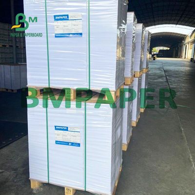 Het Glanzende Document 120g 635 X 965mm van Matte White C2S voor Groetkaarten