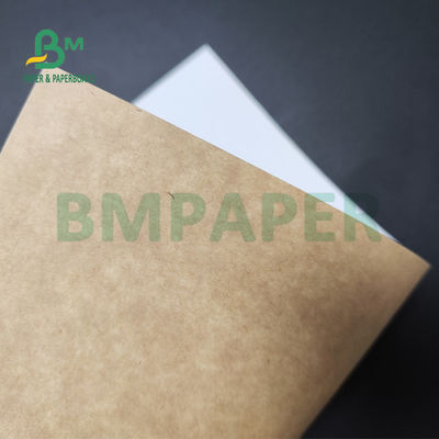 Rug van 250gsm 300gsm C1S Kraftpapier bedekte Duplexraad voor het Voedselbrandkast van de Saladedoos met een laag