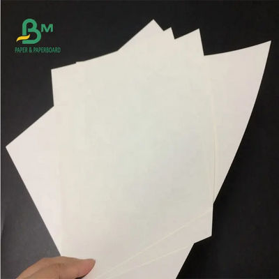 Maagdelijk Wit Kraftpapier-Document Broodje 24 X 35 Duim 150gsm 170gsm 190gsm voor Document Zakken