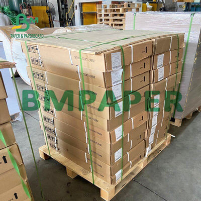 het Wit van de Plotterinkjet van 80g 914x50m Papel voor Fotokopiedocument Broodje