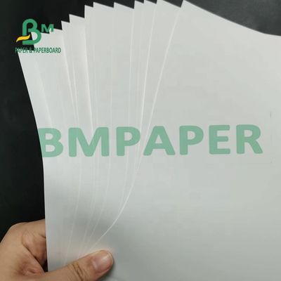 180um het niet Tearable Synthetische Document Matte Surface For Maps van pp