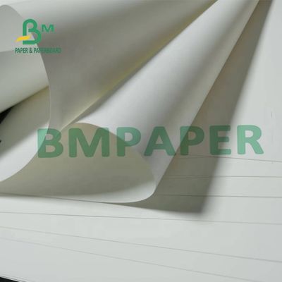 180um het niet Tearable Synthetische Document Matte Surface For Maps van pp