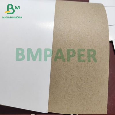 Wit Hoogste Clay Coated Kraft Liner Board-Document 140g - 200g voor Kartonvakje