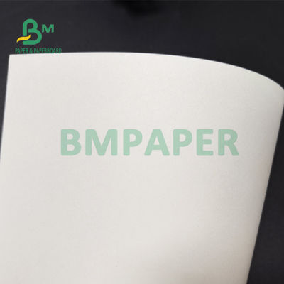het Gelamineerde Karton van 210gsm +15g PE voor Document Rang van het Koppenvoedsel 882mm