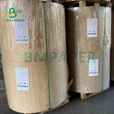 het Gelamineerde Karton van 210gsm +15g PE voor Document Rang van het Koppenvoedsel 882mm