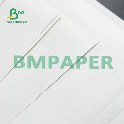 GSM 48 rolt de Thermische Printer Paper Roll 50 een Rang voor POS Systemen