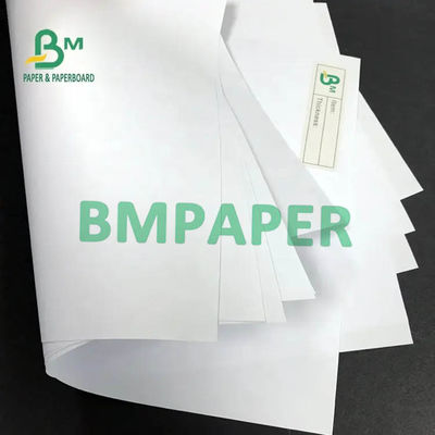 Het jumbo Rekupereerbare Broodje 50gsm 53gsm 60gsm 65cm 100cm van de Pulp Witte Bankpost