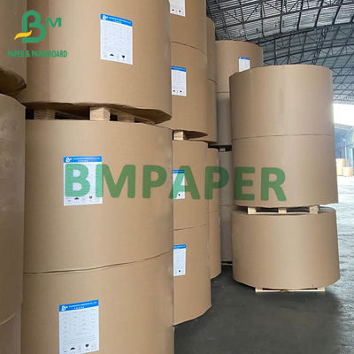 Het jumbo Rekupereerbare Broodje 50gsm 53gsm 60gsm 65cm 100cm van de Pulp Witte Bankpost