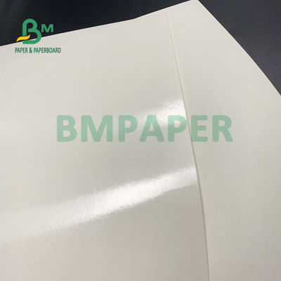 PE van de voedselrang 135gsm+10gsm bedekte Kopdocument met een laag polijst en Matt Finish