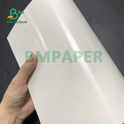 PE van de voedselrang 135gsm+10gsm bedekte Kopdocument met een laag polijst en Matt Finish