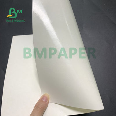135gsm + Document van de de Kopbasis van 20gsm het Polyethyleen Met een laag bedekte voor Soepkom