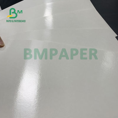 150gsm + 10gsm-de Basisdocument van de Voedsel Veilig PE Met een laag bedekt Kop voor het Drinken