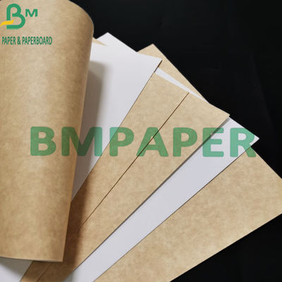 300gsm de voedselrang bedekte Wit Kraftpapier-Document met Bruine Rug voor Voedselcontainer met een laag