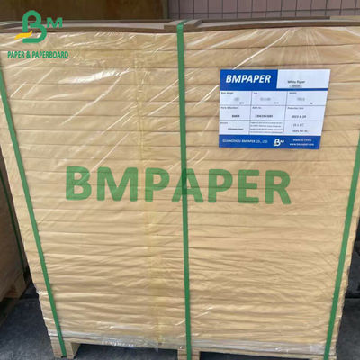 Bankpost55gsm 70gsm 75gsm Uncoted Woodfree Document 66cm X 100cm/96cm/106cm/120cm