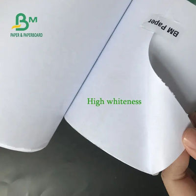 Plotterdocument CAD Witte Met een laag bedekte Broodjes 5rolls per Karton 80gsm 914mm X 50yards