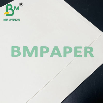 Document van het Voedsel het Veilige Cupstock van 190gsm 200gsm 210gsm voor Heet Voedsel