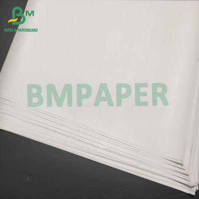 Jumbo Thermisch het Document van 48gsm 55gsm Broodje 40 Duim 50 Duimpos Bewijsdocument