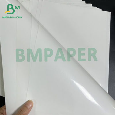 80 gm waterdicht aan één zijde gecoat natte sterkte bier etiket papier