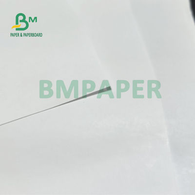 55 gm 60 gm Jumbo Roll Thermal Receipt Paper Voor POS ATM Bank 405mm 795mm