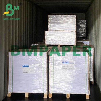 15&quot; x 1000&quot; Wit polyboard 1 zijde PE bedekt papier voor diepvries 275g