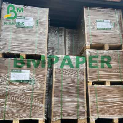Bruin kraftpapier PE-gelamineerd kartonnen dienblad voor voedselcontainers
