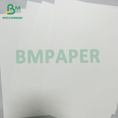 200mic waterdicht digitaal afdrukken scheurbestendige PET synthetisch papier