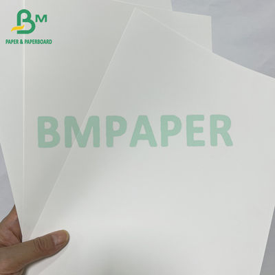 200mic waterdicht digitaal afdrukken scheurbestendige PET synthetisch papier