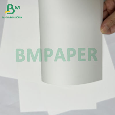 200mic waterdicht digitaal afdrukken scheurbestendige PET synthetisch papier