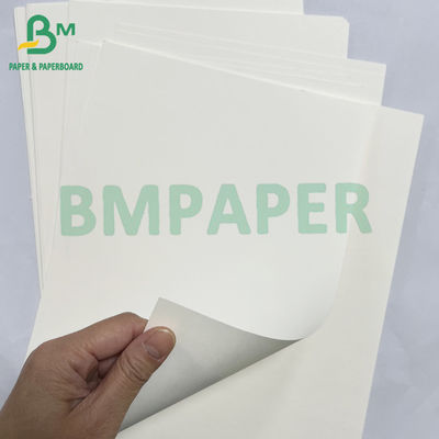 100 gr 200 gr Recyclebare voedselkwaliteit Bagasse Pulp Witte papierrol