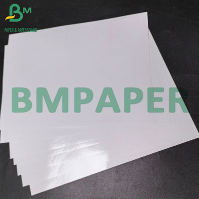 180g 260g 5' 6' 7' High Light Waterproof Inkjet Printing Fotopapier