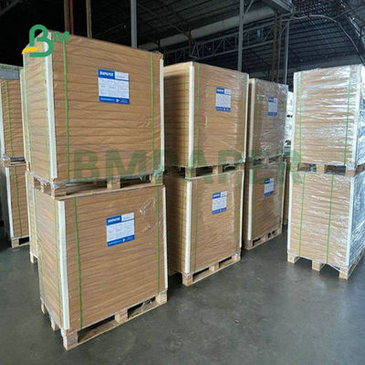 610 mm x 150ft 73 gram 83 gram Translucent Inkjet Printing Tracing Paper Vellum Paper Voor cadeau pakket