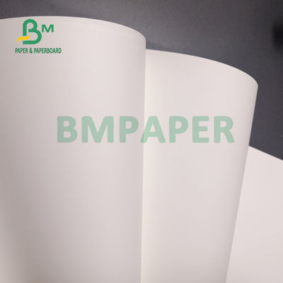 130um Mat Synthetisch Polypropyleen Waterdicht PP Papier Voor Poster 24cm x 58cm