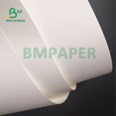 130um Mat Synthetisch Polypropyleen Waterdicht PP Papier Voor Poster 24cm x 58cm